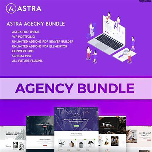 Trọn bộ Astra Pro AGENCY BUNDLE Có Key