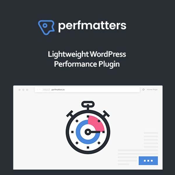 Perfmatters – Lightweight WordPress Performance Plugin